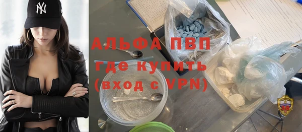 прущие грибы Верхний Тагил