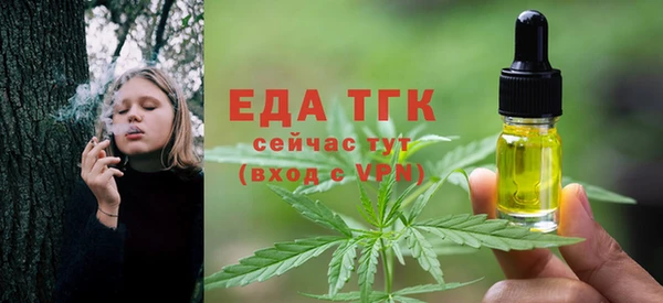 прущие грибы Верхний Тагил