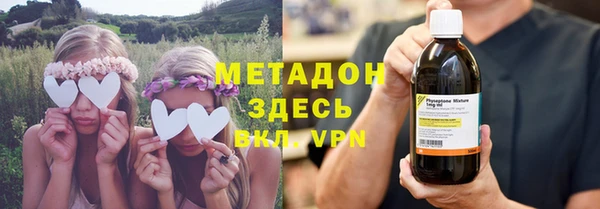 прущие грибы Верхний Тагил