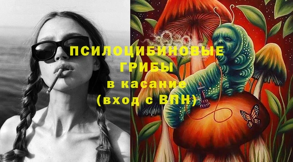 прущие грибы Верхний Тагил