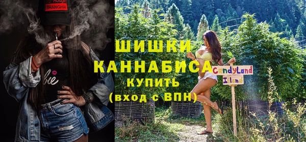 прущие грибы Верхний Тагил