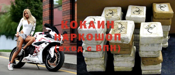прущие грибы Верхний Тагил