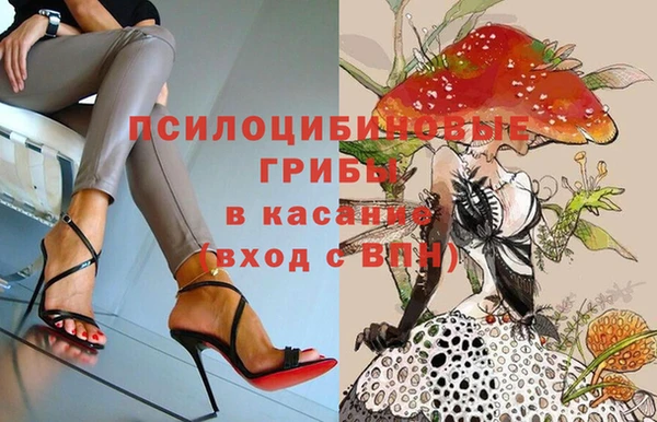 прущие грибы Верхний Тагил