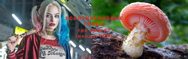 прущие грибы Верхний Тагил