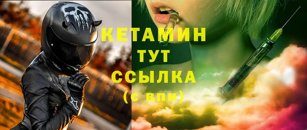 прущие грибы Верхний Тагил