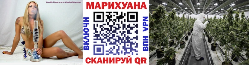 Конопля планчик  Семёнов 